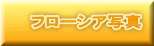 �t���[�V�A�ʐ^ 